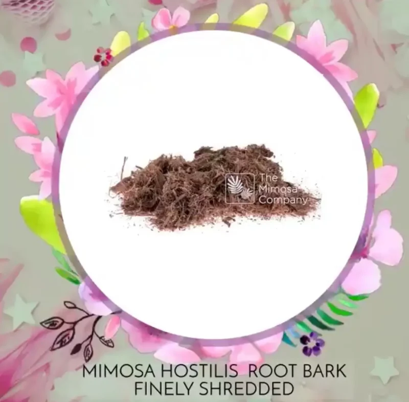 Mimosa Hostilis Root Bark Shredded - Brazil